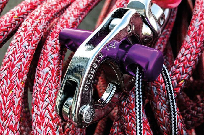 Supplier Focus: Tylaska